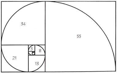 1123 Día de Fibonacci