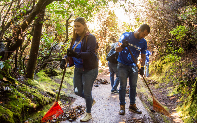 Ranking Merco de ESG confirma liderazgos empresariales de FIFCO en sostenibilidad