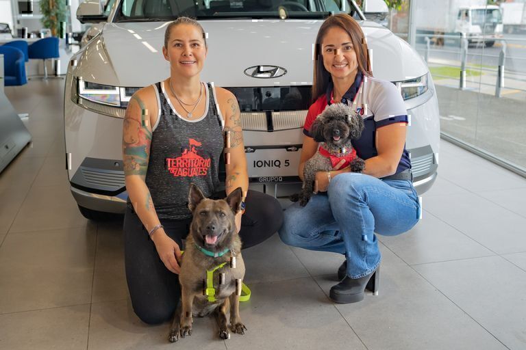 Zaguatón Navideño busca recolectar alimento para los 1.800 perros de Territorio de Zaguates