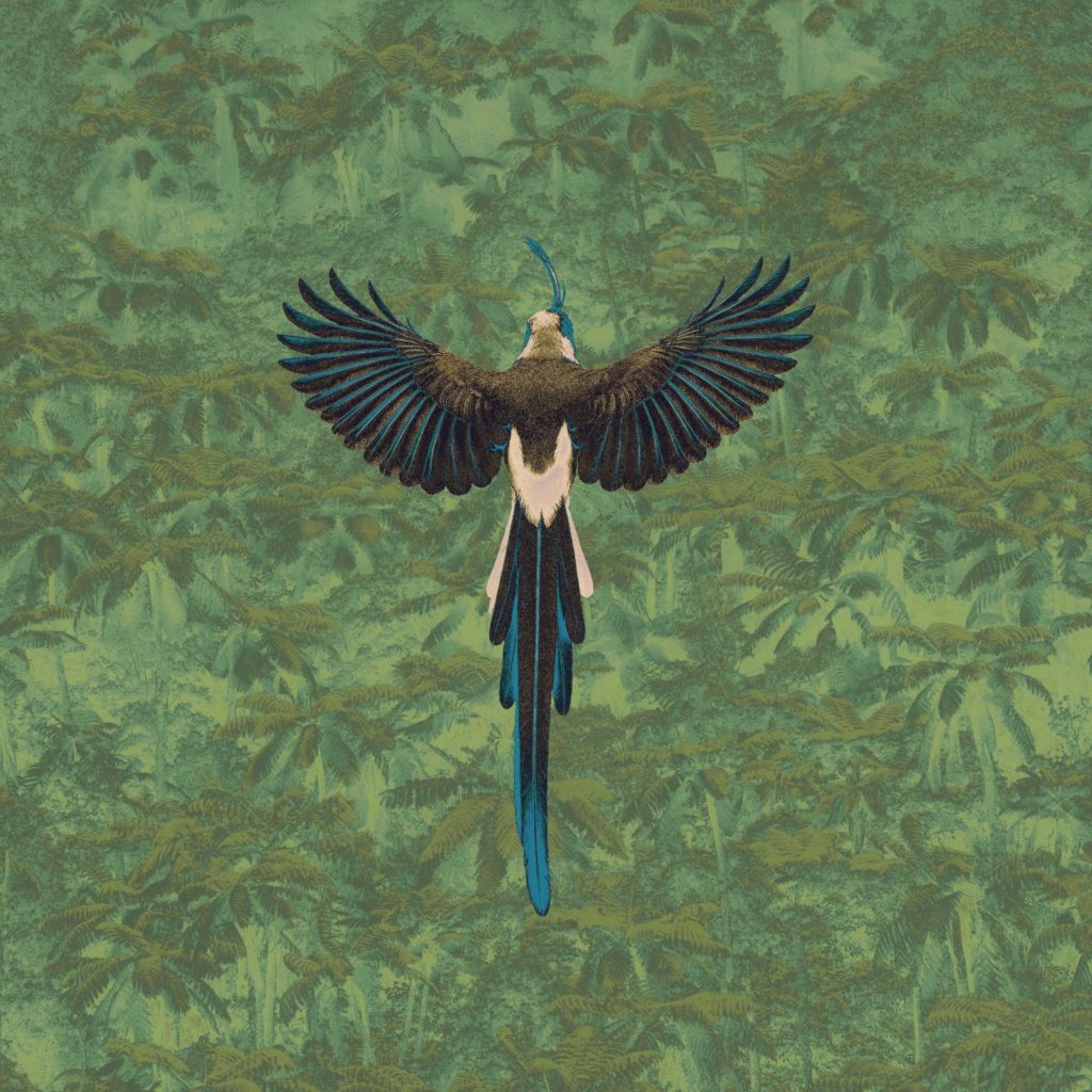 MAGPIE JAY: UNA DÉCADA DE VUELO