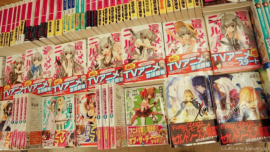 [Light Novels] Ranobes, un gran universo conocido por pocos otakus
