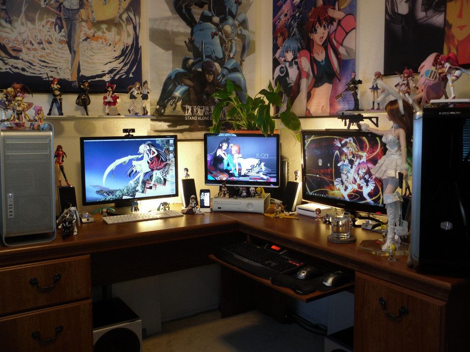 Otaku?… Gamer?…