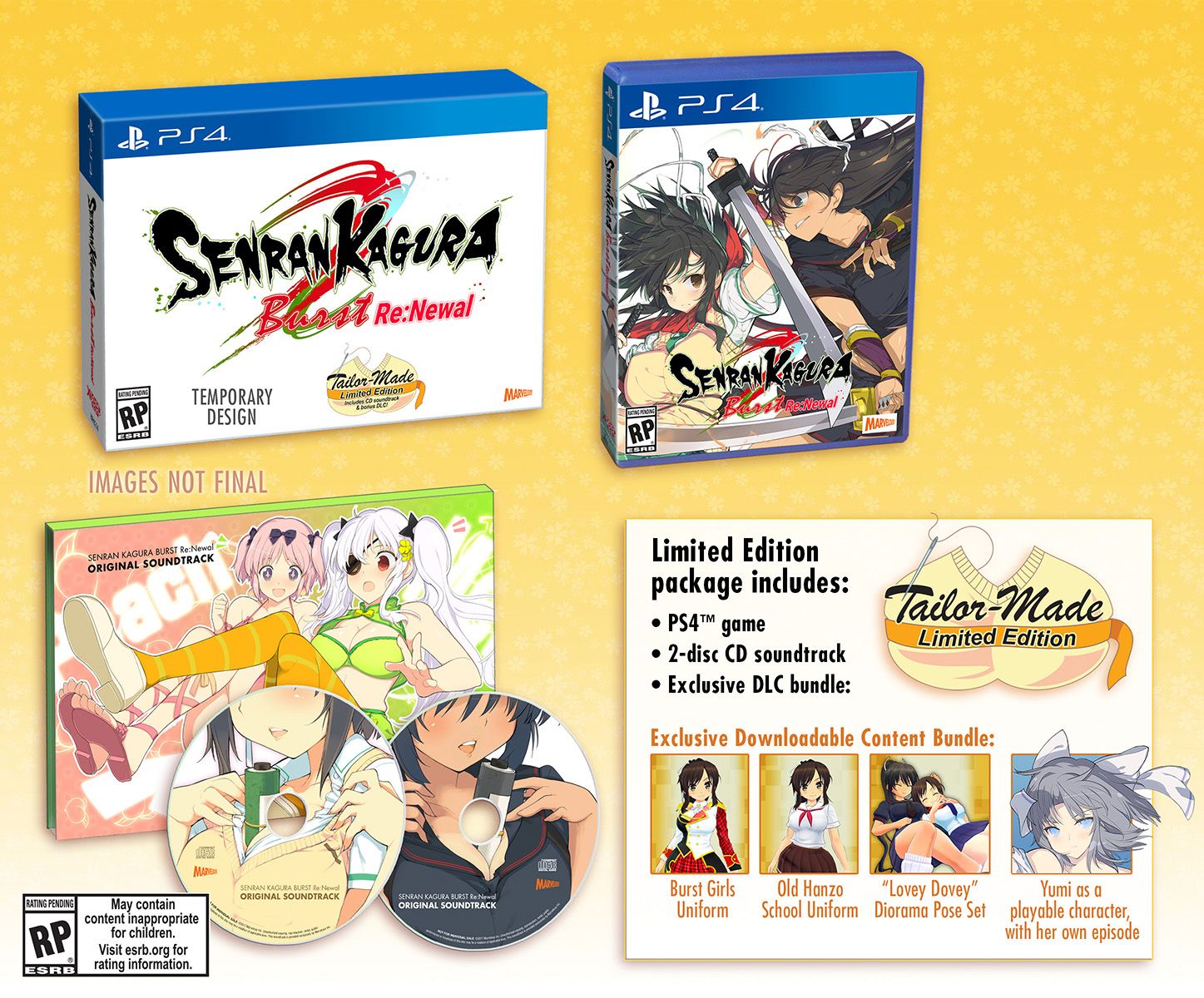 Senran Kagura Burst Re:Newal tendrá dos ediciones especiales
