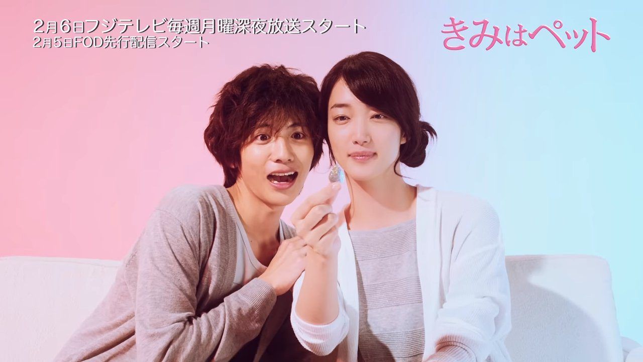 La nueva serie de Kimi wa Pet muestra su secuencia inicial