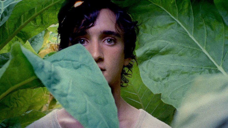 [Review] Lazzaro Felice: Cuando Netflix nos alegra el día