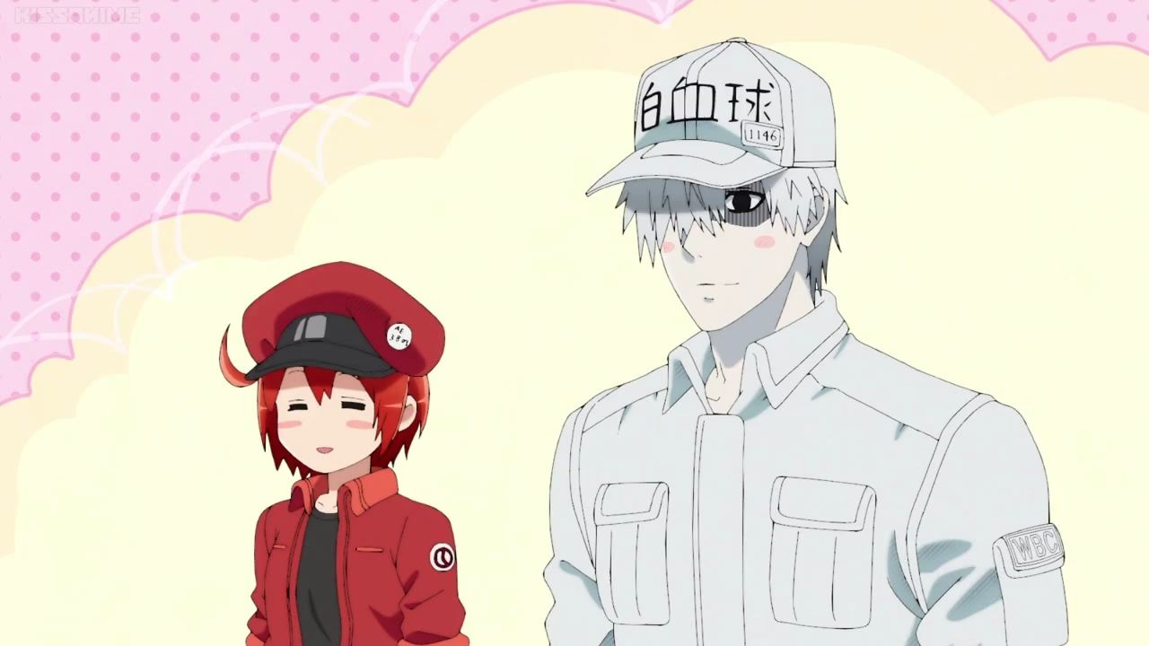Hataraku Saibou! (Cells at Work!) tendrá segunda temporada
