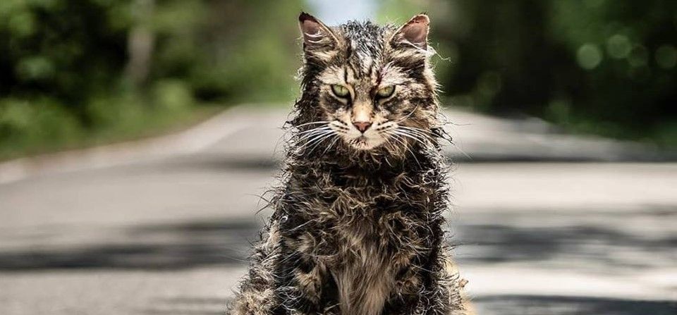 Pet Sematary: nuevo trailer