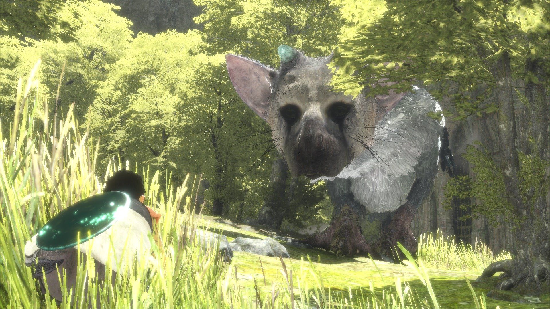 Nuevas imágenes de The Last Guardian para PlayStation 4