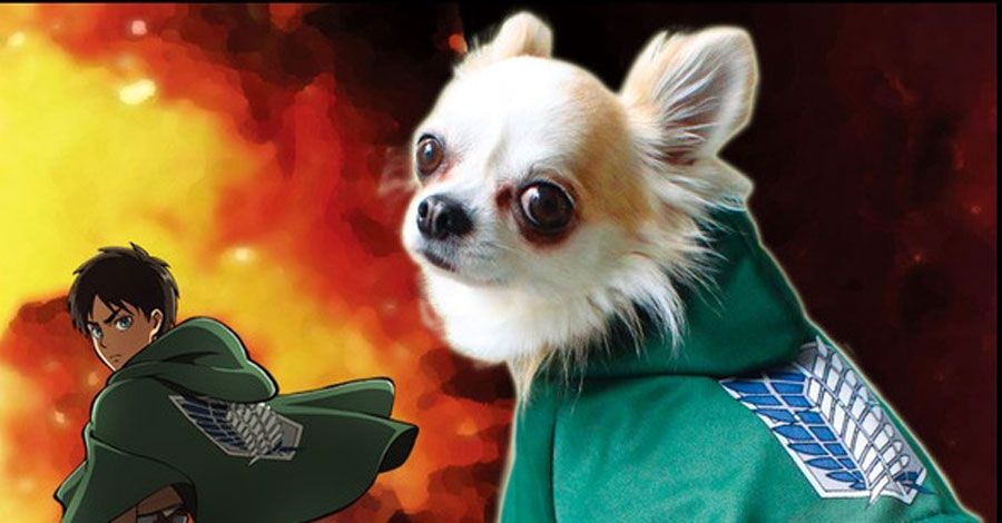 Disfraza a tu perrito al estilo de Shingeki no Kyojin