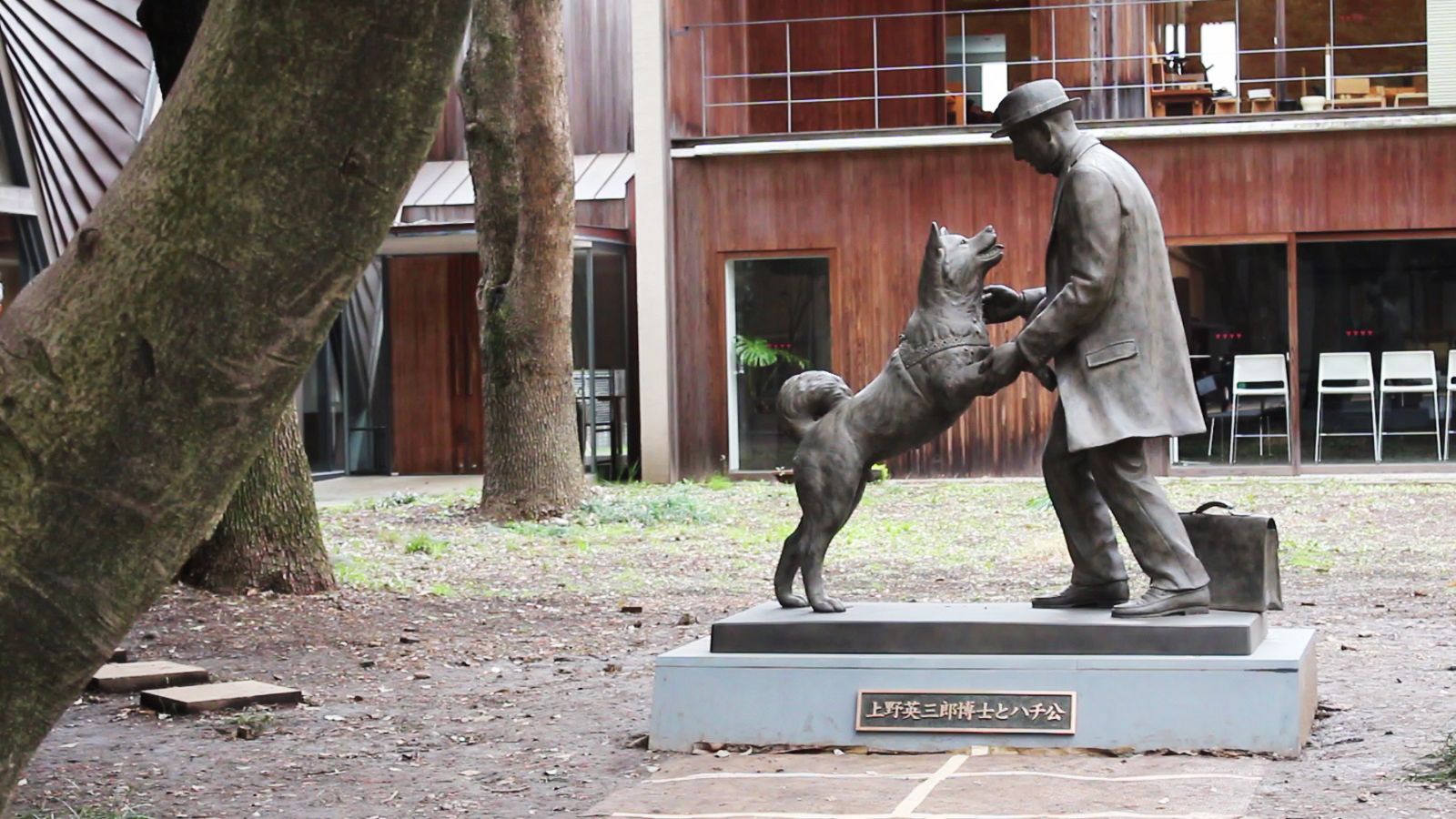 Vlog: La verdadera Historia de Hachiko