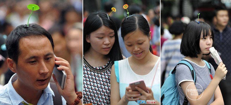 La nueva moda en China de «convertirse» en Pikmins